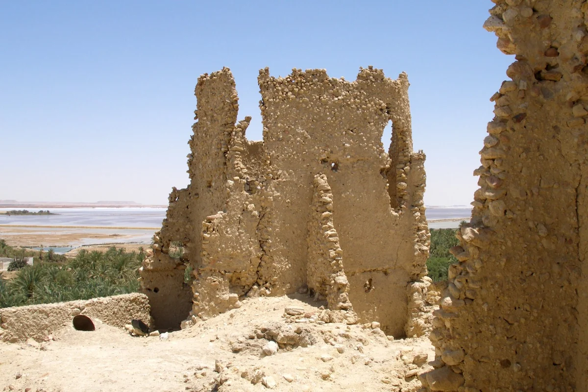 The Oracle of Amun, Siwa